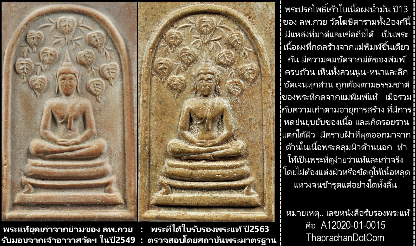 พระปรกโพธิ์ปี13 -17.jpg