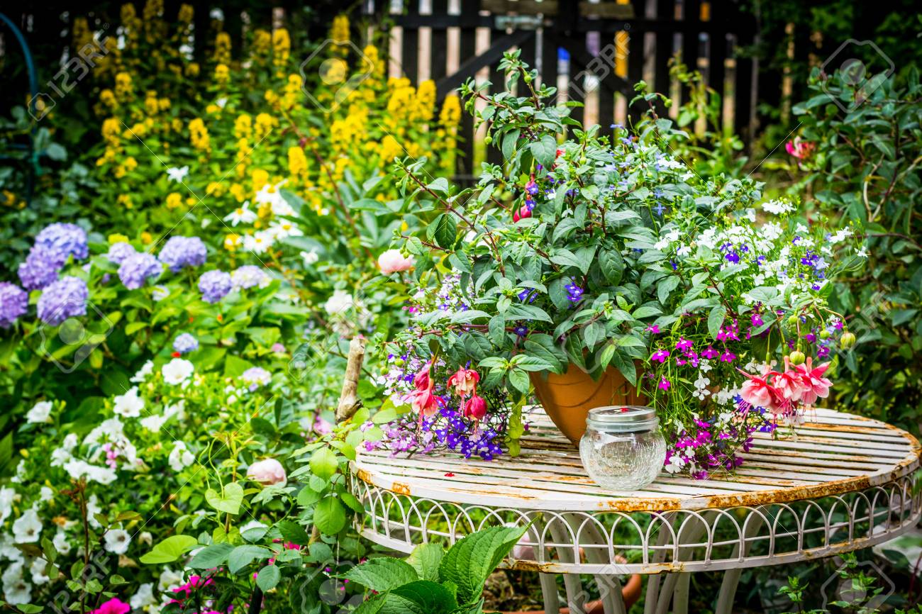 106784406-beautiful-hflowers-plants-and-garden-table.jpg