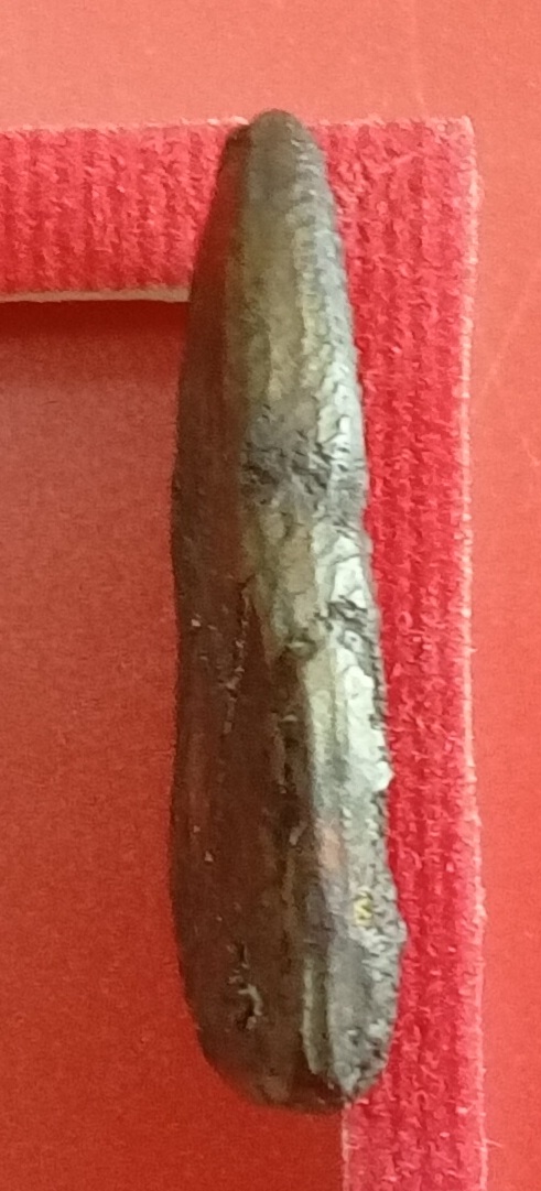 20240429_131006.jpg