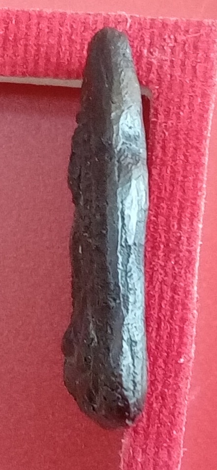 20240429_131136.jpg