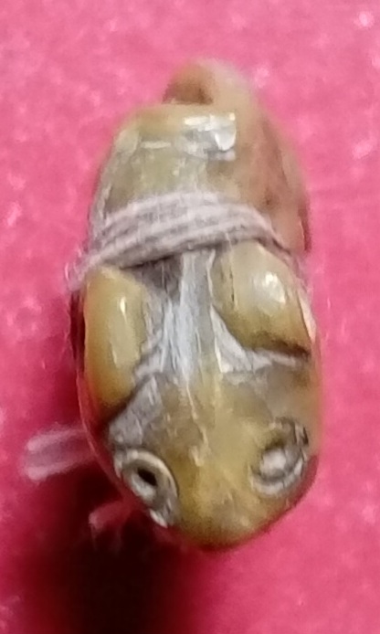 20260311_115142.jpg