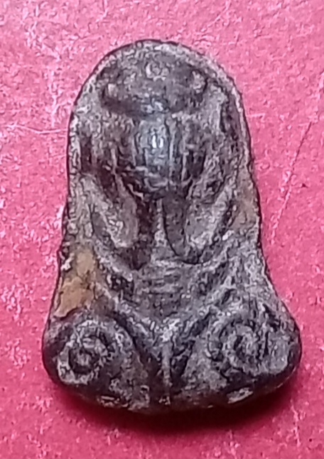 20260326_230231.jpg