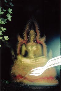 buddha02-jpg.jpg