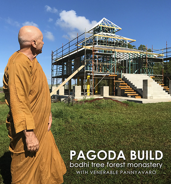 pagoda_build.jpg